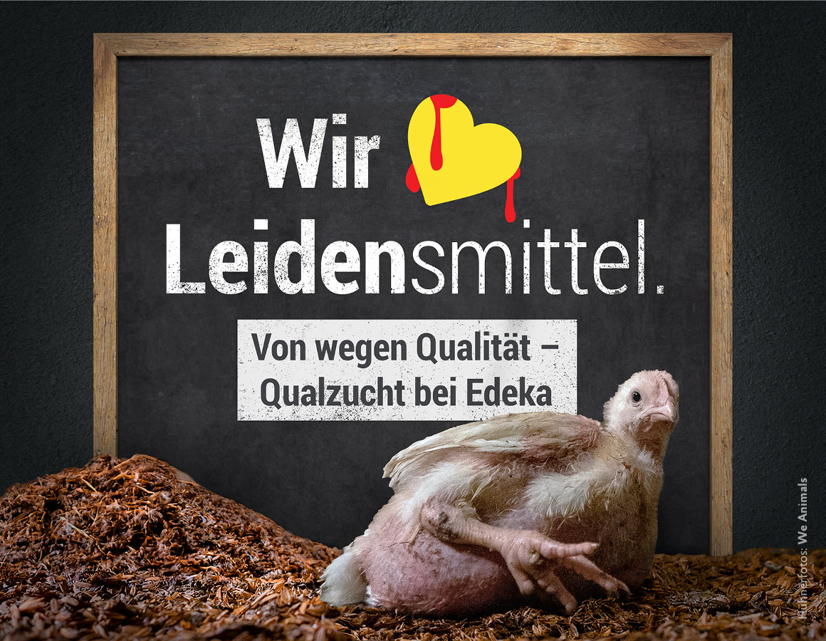 Huhn