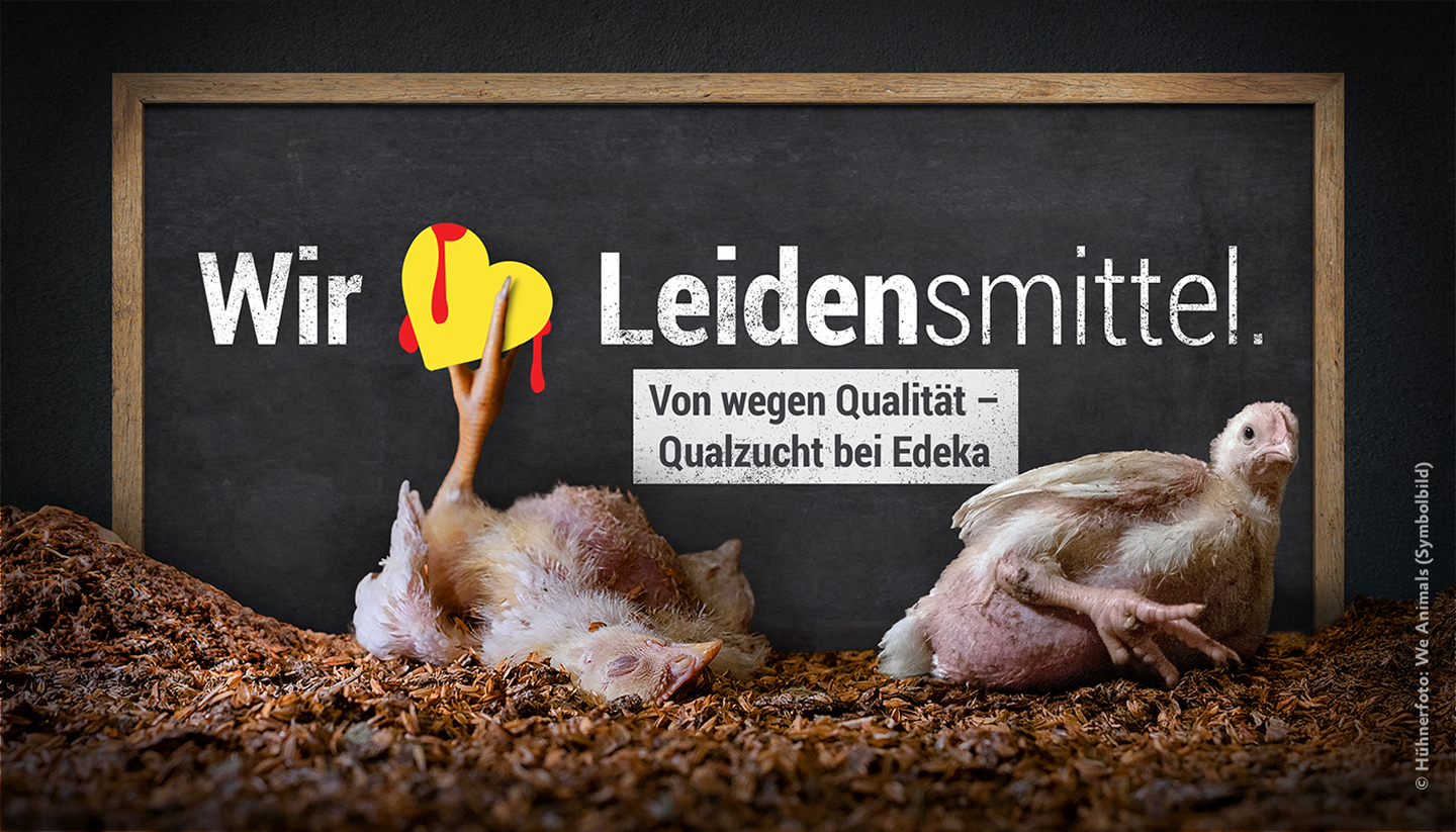 Huhn
