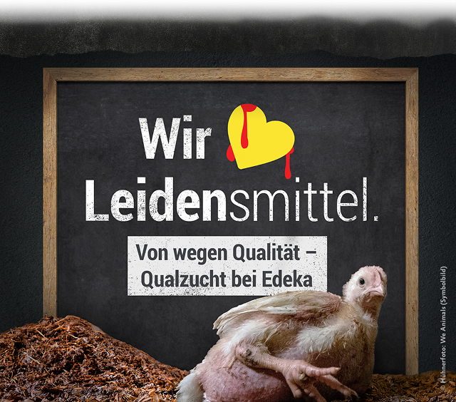 Huhn